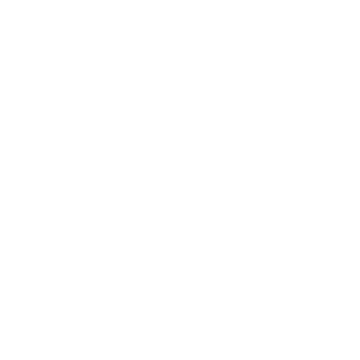 Completed Projects